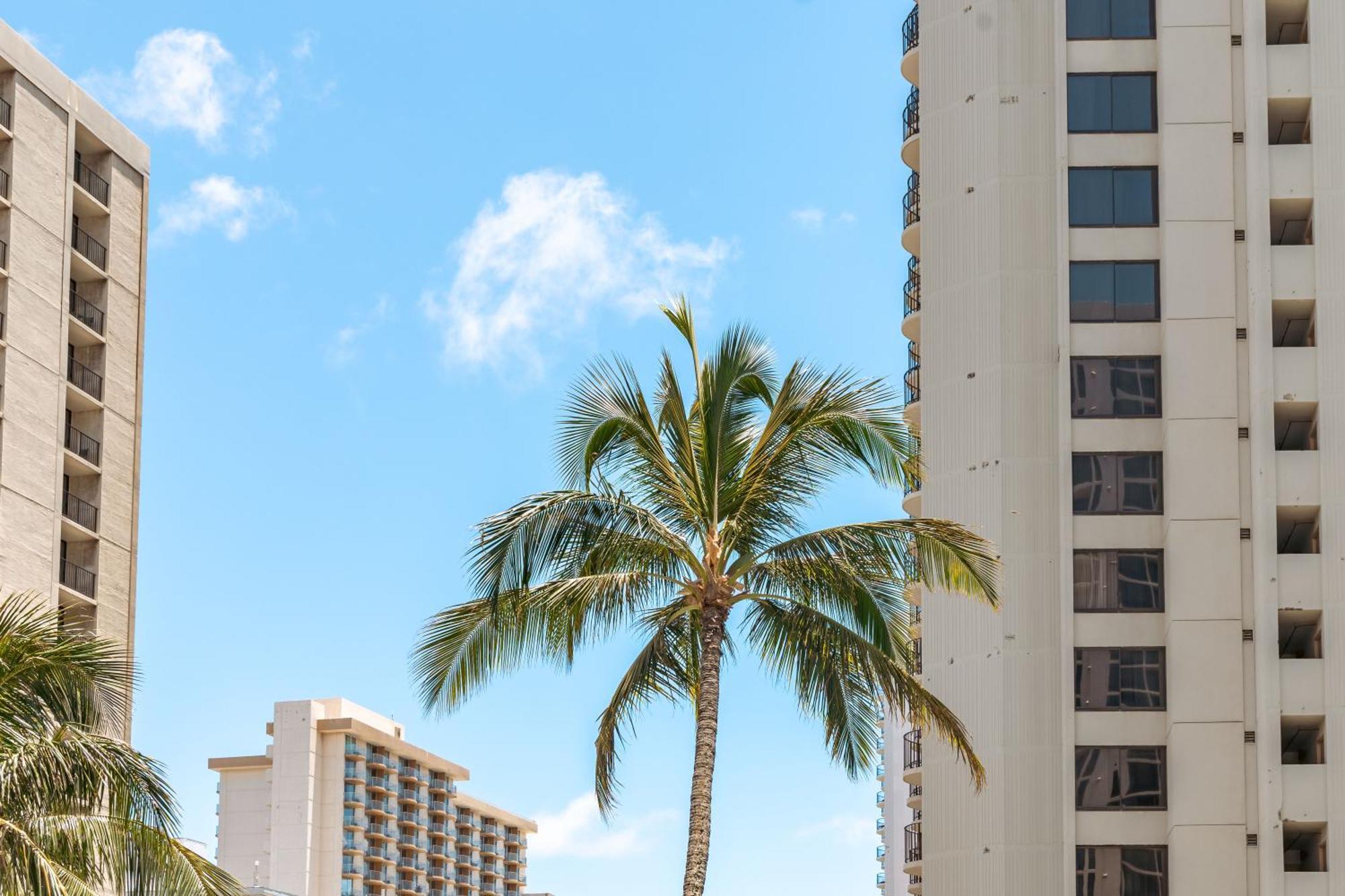 Beautiful 1Br, Steps To Waikiki Beach And Parking Хонолулу Екстериор снимка